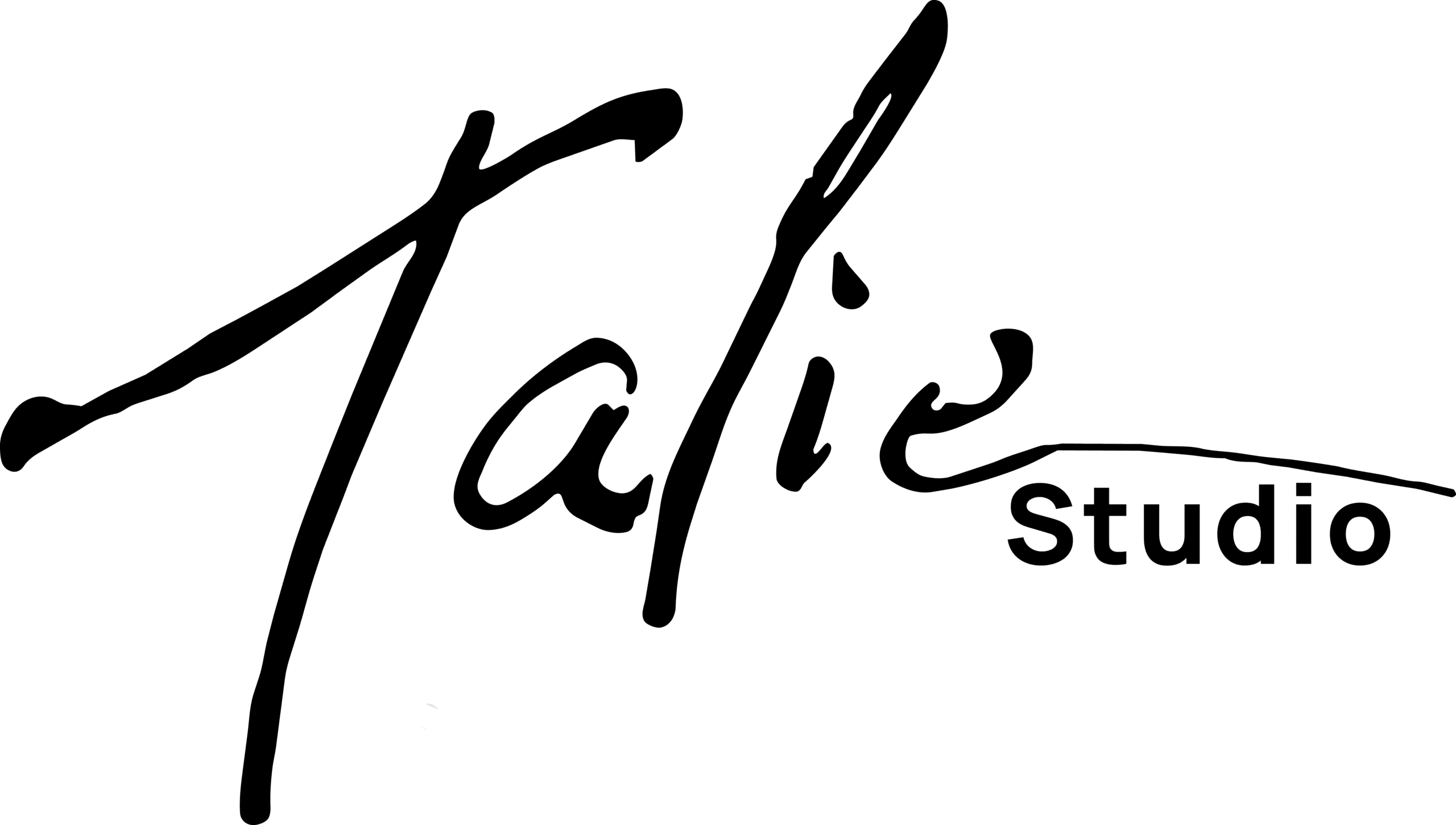 logo talie 3 strich 1